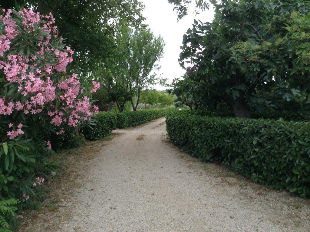Agriturismo Santo Stefano Casalbordino Exterior foto